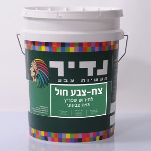 צח צבע חול לבית