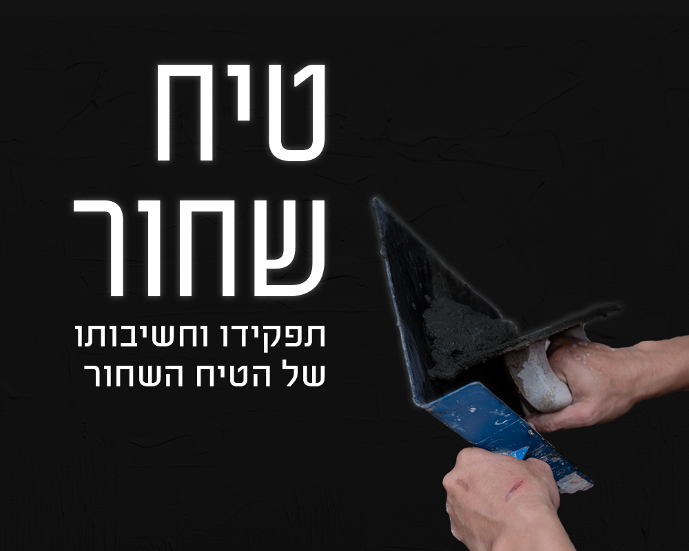 טיח שחור